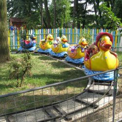 Duck Family Special