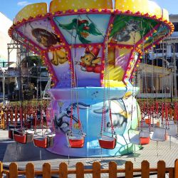 Cartoon swing ride