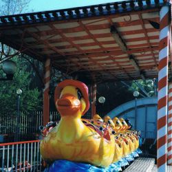 Duck Family Standard